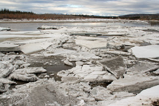 Break-up-on-Koyukuk