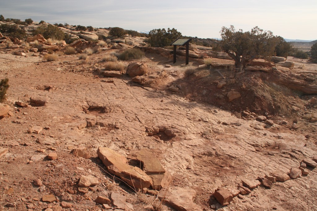 Large depressions in sandstone are dinosaur tracks made by an 18-ton dinosaur.