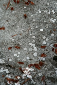 Ice crystals that look like snowflakes on a frozen puddle