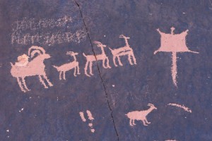 Petroglyphs of bighorn sheep and a flying squirrel at Newspaper Rock in SE Utah