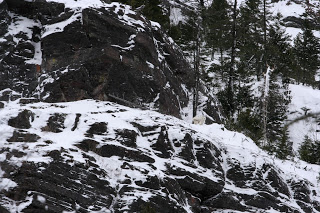 Glacier National Park Ski Trip