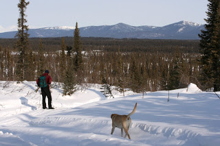 Nine-Mile-Hills-Ski-105