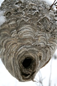 Workers leave a small hole at the bottom for an entrance