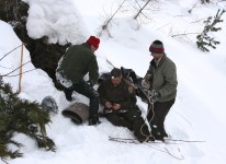 Black bear research