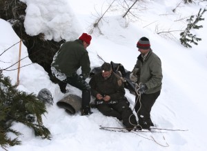 Collared retrieved after one yearling tried to escape.