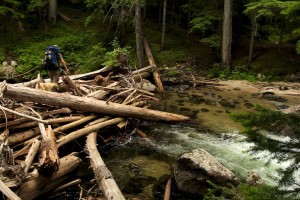 Canyon Creek runs high enough in the spring to create impressive log jams