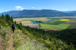 Descending Parker Ridge into the Kootenai Valley