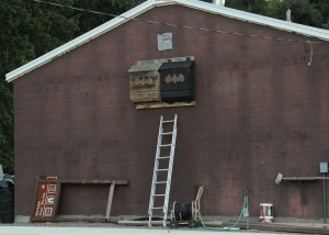 Nearly 1,100 bats live in these two bat houses at KNWR