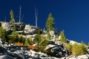 The first hint of autumn in the high country