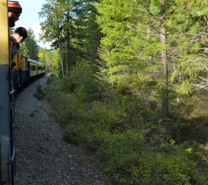 The Port of Pend Oreille was created to operate the Pend Oreille Valley Railroad in 1979 after the railroad was deemed no longer economically feasible by private businesses