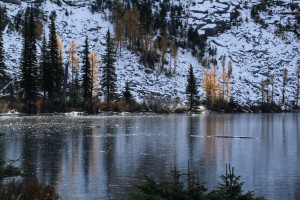 The first ice on Roman Nose Lake in mid-October begins a long winter for the fish living below the icy ceiling