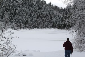 Snow blocks sunlight from reaching aquatic plants beneath the ice