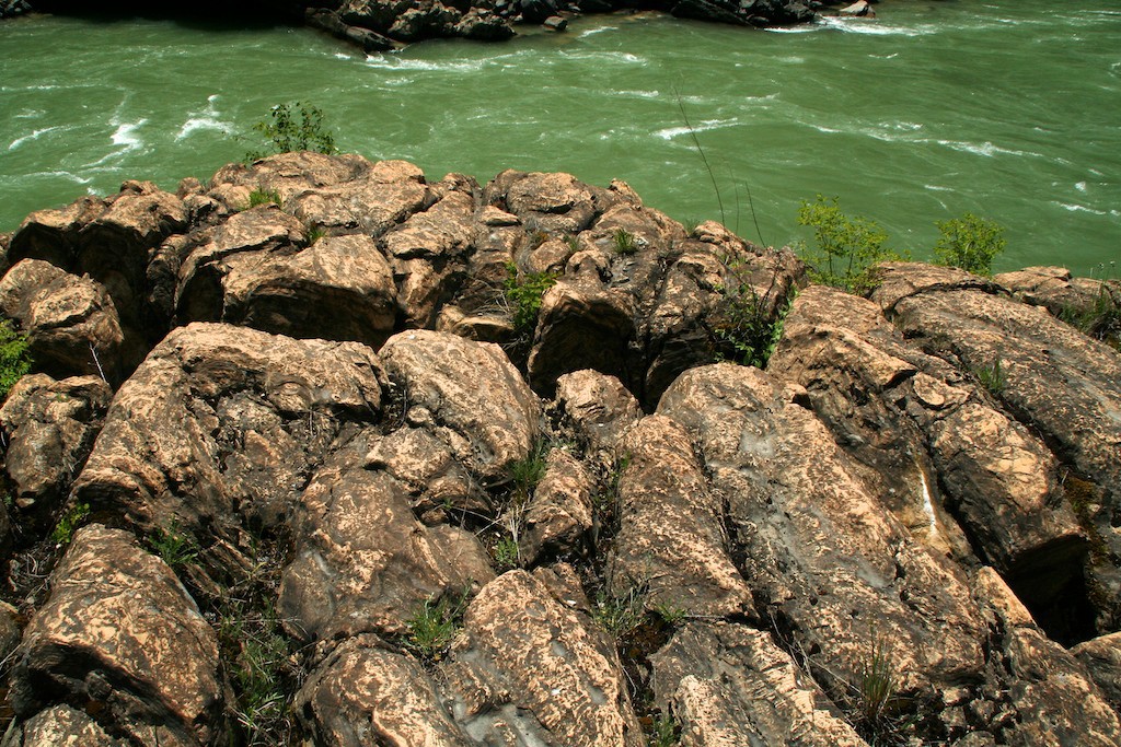 The irregular lumps of rock at the base of the Kootenai River swinging bridge upstream of Troy, Montana are fossilized stromatolites.