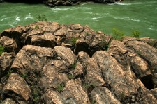 Stromatolites