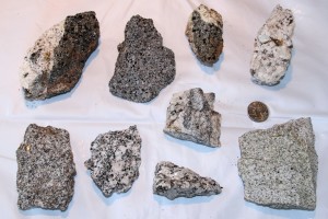 A collection of rocks found on the Hidden Lake trail shows some of the variations of granitic rock in the Selkirk Mountains