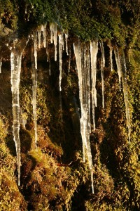 Ice melts at 32 degrees Fahrenheit but water has to be colder than 32 degrees to initiate ice formation