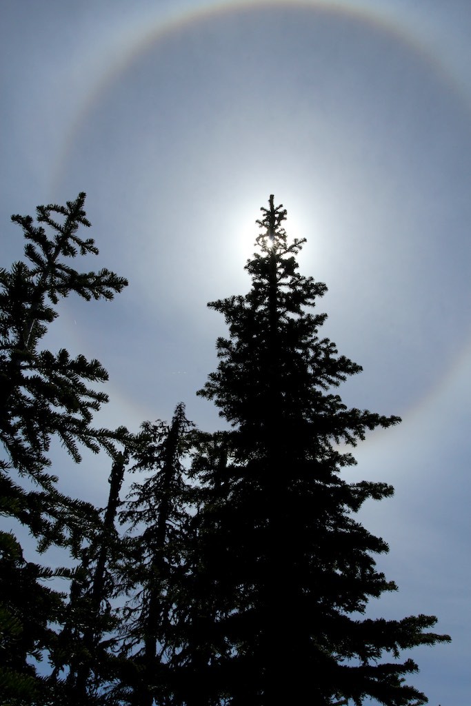The inner edge of a sun halo is sharper than the outer edge