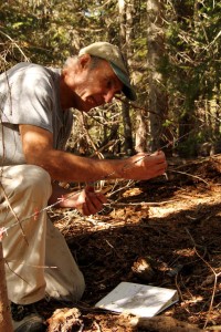 IDFG technician Don Gay meticulously checks each barb for grizzly bear hair at a research site near Cow Creek. 