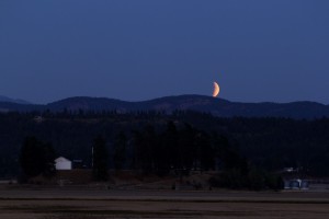 The moon rose partially eclipsed and progressed to a total eclipse.
