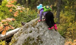 Young kid climbs small granite rock in woods.