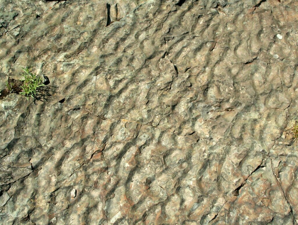 Non-parallel ripples showing hourglass pattern