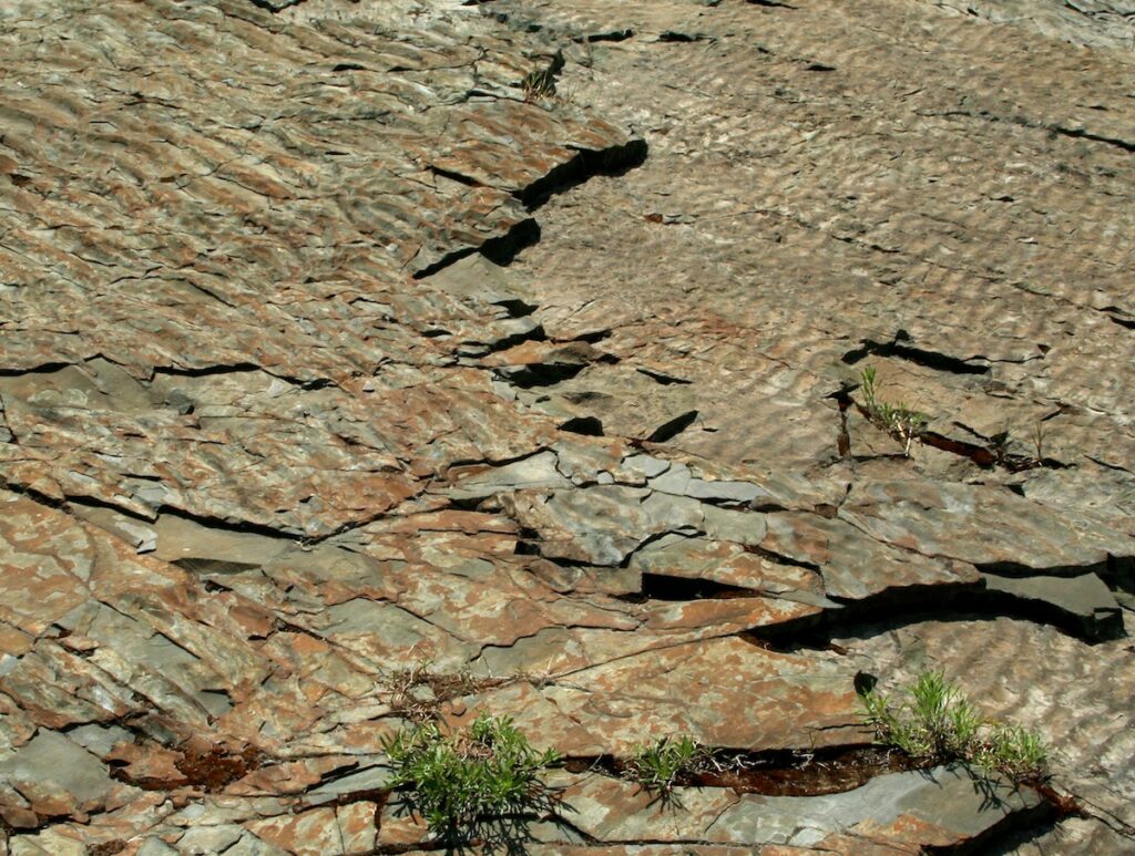 Two layers of sedimentary rocks, both with ripple marks, but ripples are trending in different directions on each layer.