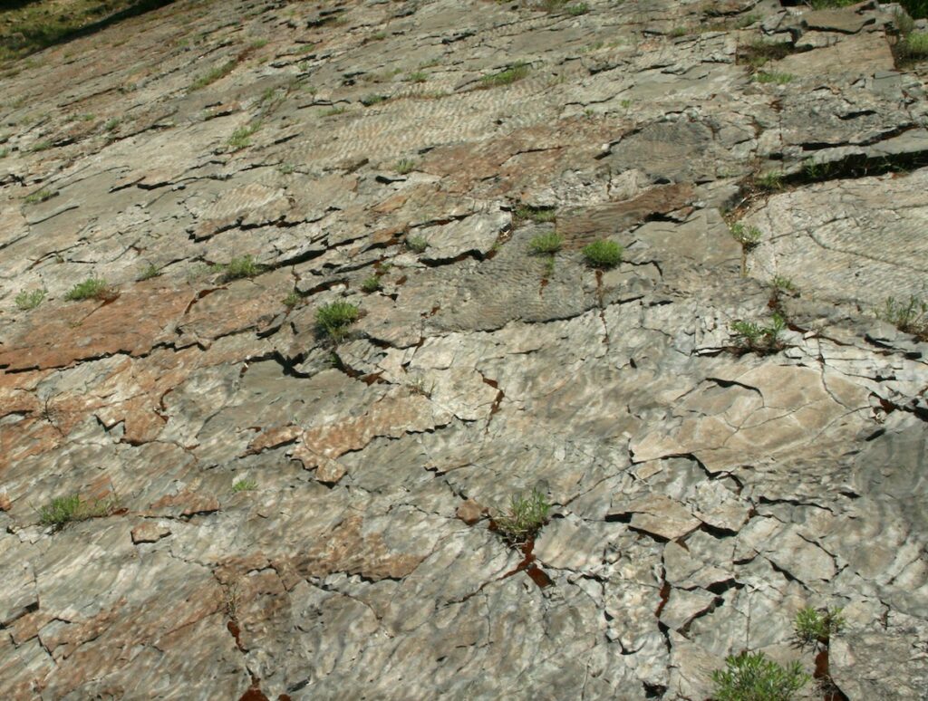 Multiple layers of sedimentary rocks exposed near Kootenai Falls show ripple marks in different directions on each layer.