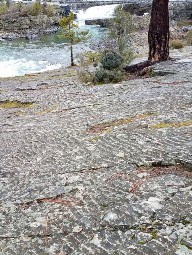 A layer of sedimentary rocks with parallel ripple marks next to Kootenai Falls.